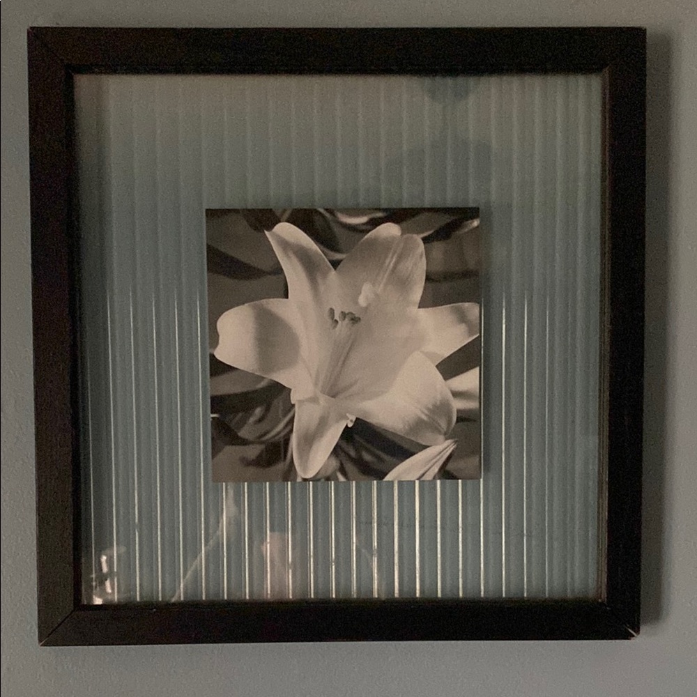5/$30 Black Framed Floral Wall Art Due to weight this item cannot be bundled.